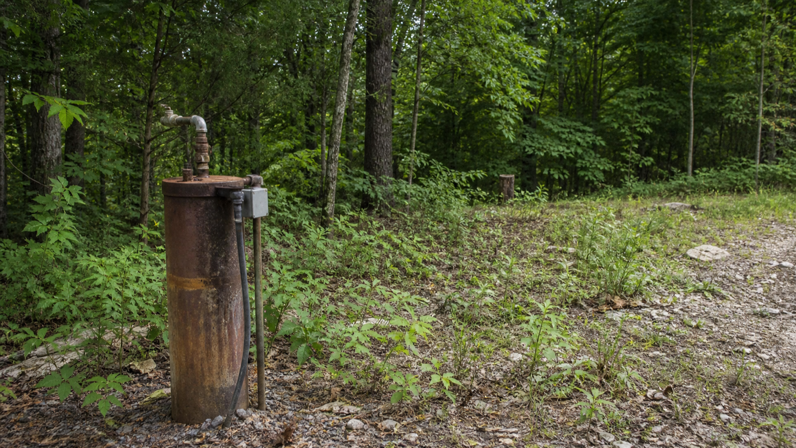 Undeveloped wooded acreage in Tennessee with an old well casing among the trees